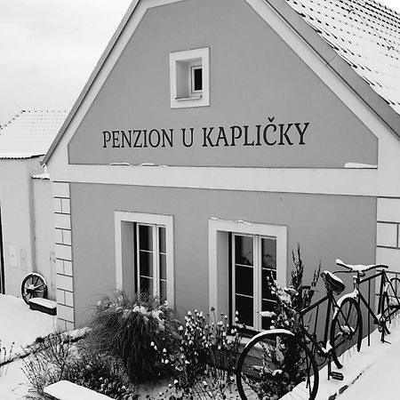 Penzion U Kaplicky Зноймо Экстерьер фото