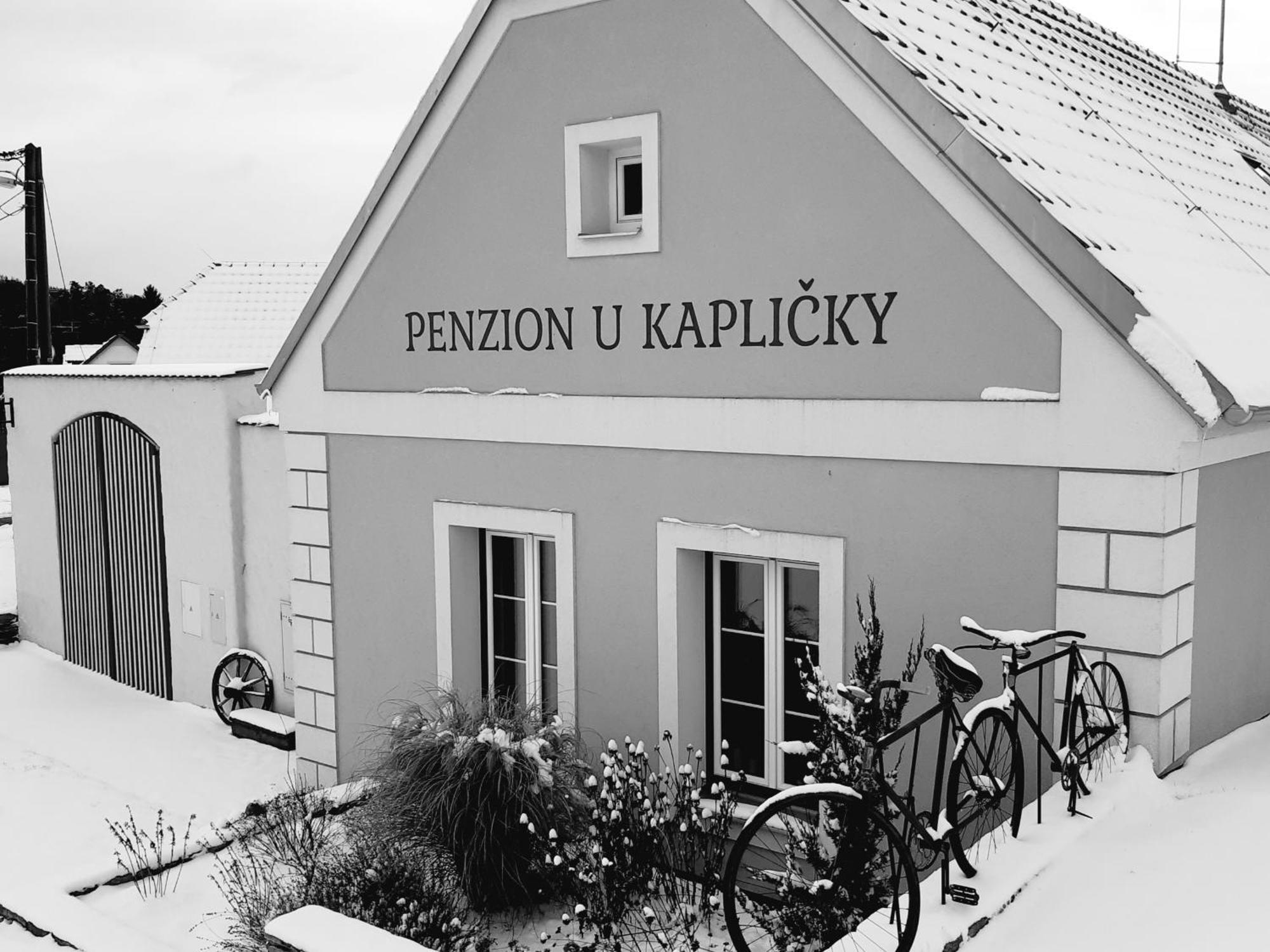 Penzion U Kaplicky Зноймо Экстерьер фото